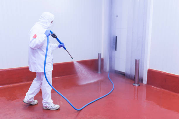 Reliable Hermann, MO Pressure Washing Services Solutions